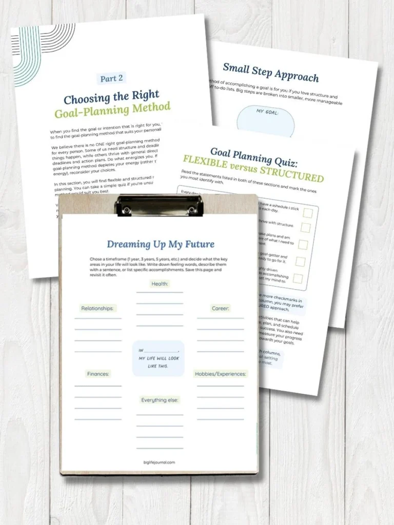 Goal Setting Kit PDF (ages 18-99) 4